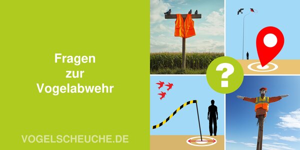 Frage / RUBRIK